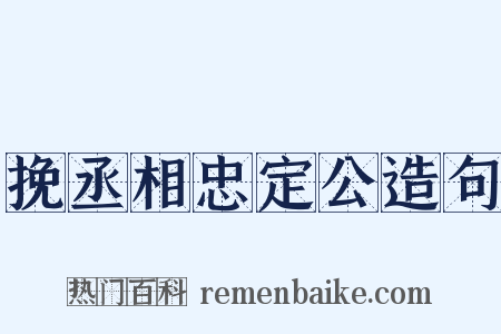 挽丞相忠定公造句是什么意思的图片